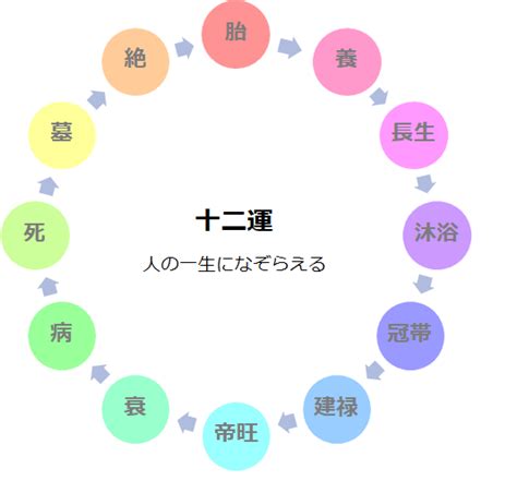 長生十二運|十二運の意味